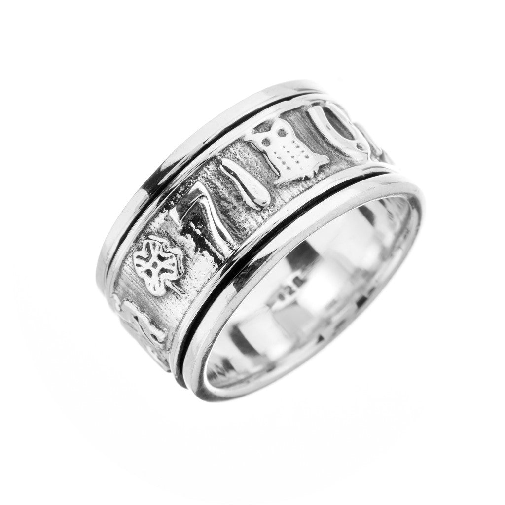 Lucky Symbols Silver Spinning Ring - Brighton Silver