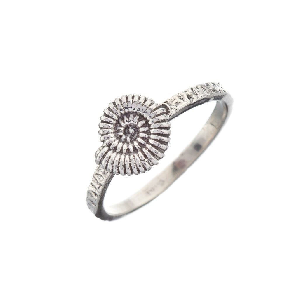 Silver Ammonite Fossil Stacking Ring - Brighton Silver